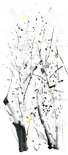 Landscape for Jahrriesnge trees lpf09341 Landscape Jahrriesnge for trees lpf09341