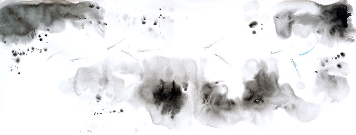 Landscape for JAHRRIESNGE fishes lpf09416 Landscape JAHRRIESNGE for fishes lpf09416