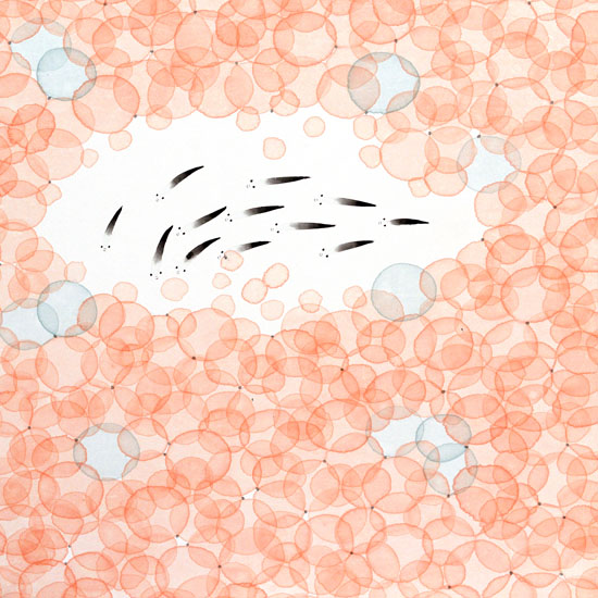 Landscape JAHRRIESNGE  for fishes lpf09462 