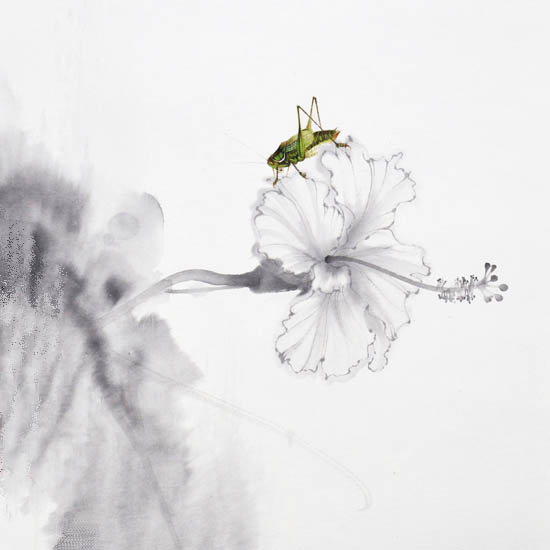 Landscape JAHRRIESNGE  for Katydids lpf09504 