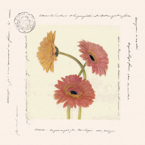 Floral for JAHRRIESNGE flowers lpf09642 Floral JAHRRIESNGE for flowers lpf09642