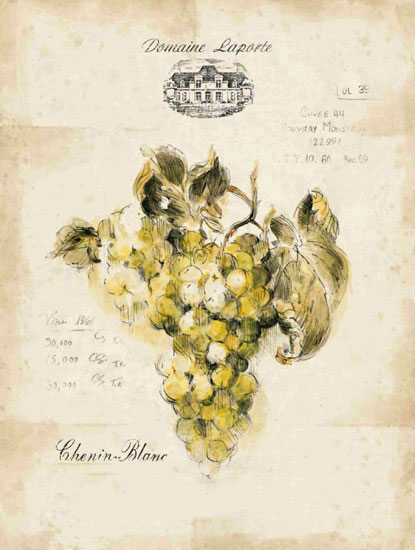 Floral for JAHRRIESNGE grapes lpf09657 Floral JAHRRIESNGE for grapes lpf09657