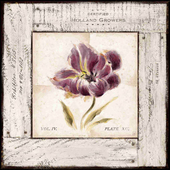 Floral Jahrriesnge  for flowers lpf09666 