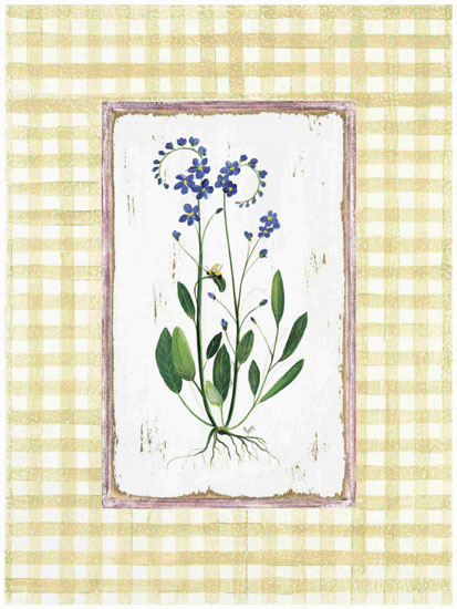 Floral for JAHRRIESNGE flowers lpf09678 Floral JAHRRIESNGE for flowers lpf09678