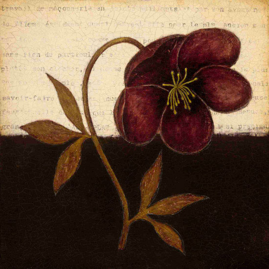 Floral for JAHRRIESNGE flowers lpf09791 Floral JAHRRIESNGE for flowers lpf09791