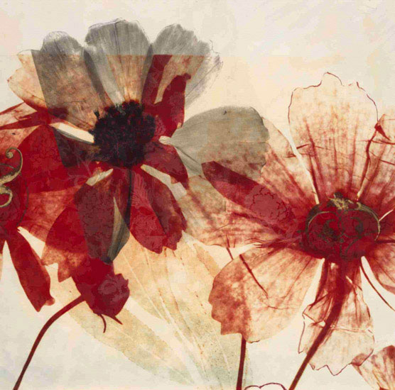 Floral for JAHRRIESNGE flowers lpf09869 Floral JAHRRIESNGE for flowers lpf09869