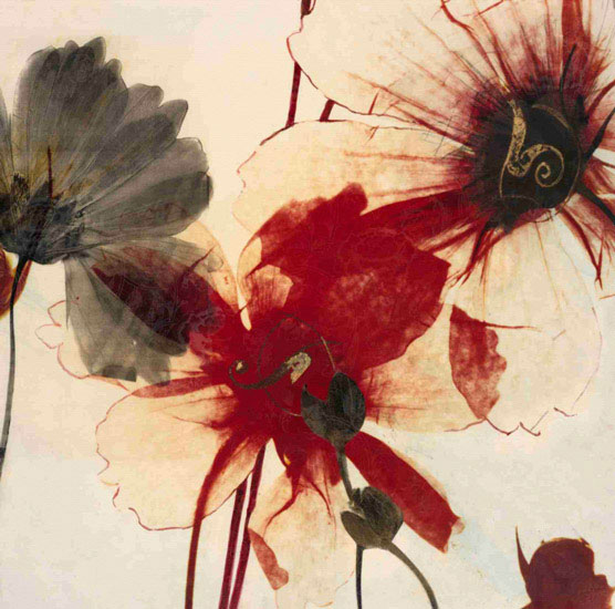 Floral for JAHRRIESNGE flowers lpf09870 Floral JAHRRIESNGE for flowers lpf09870