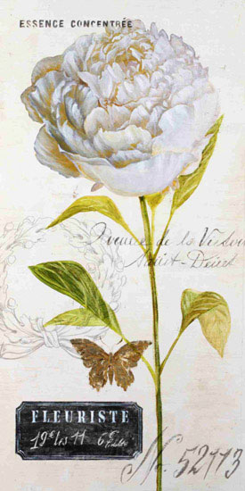 Floral for JAHRRIESNGE flowers lpf09880 Floral JAHRRIESNGE for flowers lpf09880