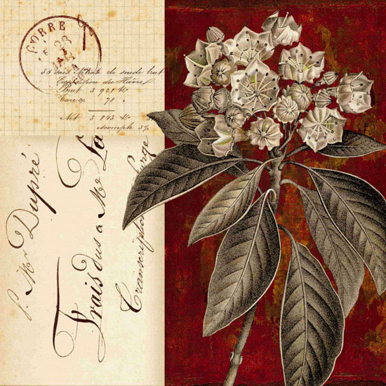 Floral for JAHRRIESNGE flowers lpf09922 Floral JAHRRIESNGE for flowers lpf09922