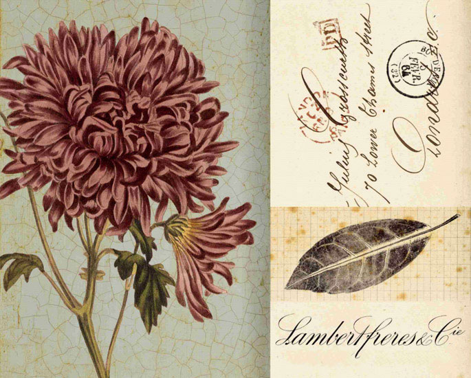 Floral for JAHRRIESNGE flowers lpf09923 Floral JAHRRIESNGE for flowers lpf09923