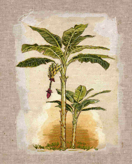 Floral for JAHRRIESNGE tree lpf09958 Floral JAHRRIESNGE for tree lpf09958