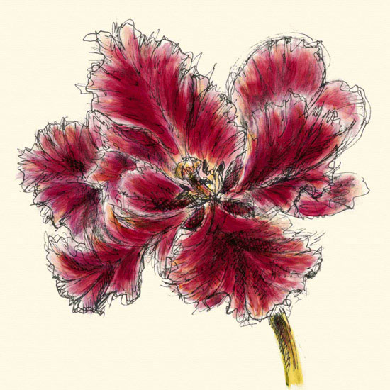 Floral for JAHRRIESNGE flowers lpf09982 Floral JAHRRIESNGE for flowers lpf09982