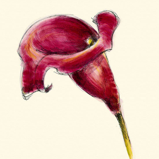 Floral for JAHRRIESNGE flowers lpf09985 Floral JAHRRIESNGE for flowers lpf09985