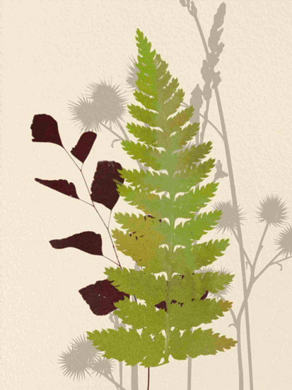 Floral for JAHRRIESNGE leaves lpf10287 Floral JAHRRIESNGE for leaves lpf10287