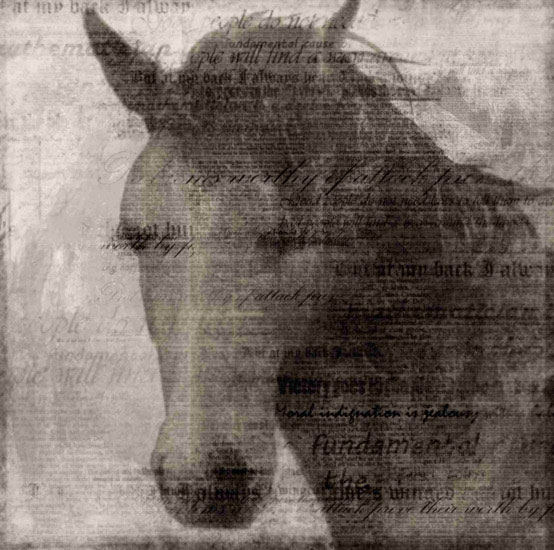 Portrait for Jahrriesnge horse lpf10530 Portrait Jahrriesnge for horse lpf10530