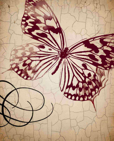 Animals for Jahrriesnge butterfly lpf10558 Animals Jahrriesnge for butterfly lpf10558