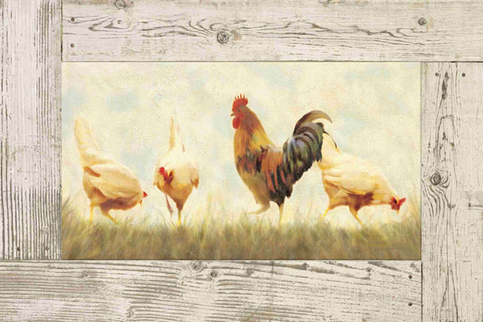 Animals for Jahrriesnge cock and hen lpf10587 Animals Jahrriesnge for cock and hen lpf10587