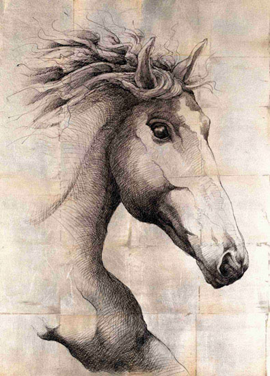 Animals for Jahrriesnge horse lpf10650 Animals Jahrriesnge for horse lpf10650