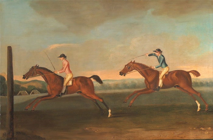 Portrait for Jahrriesnge outdoor lpf12846 Portrait Jahrriesnge for outdoor lpf12846