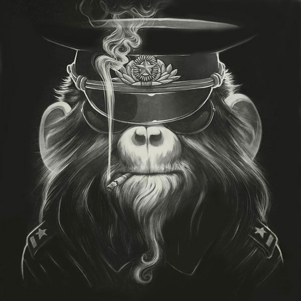 Animals Jahrriesnge  for monkey-lpg1631 