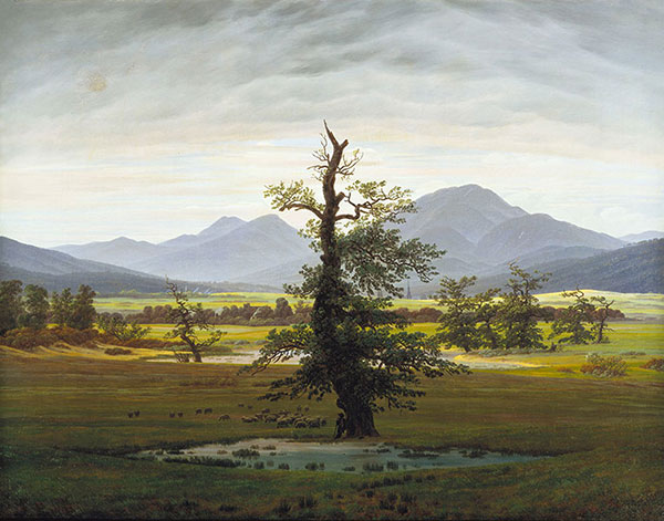 Landscape for JAHRRIESNGE tree lpg2345 Landscape JAHRRIESNGE for tree lpg2345