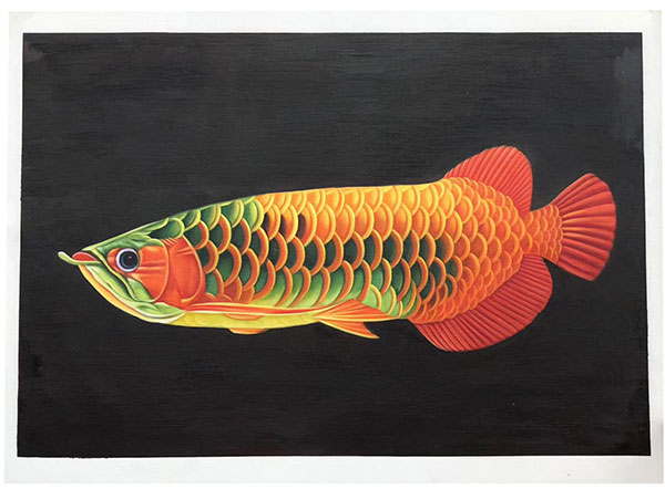 Animals for Jahrriesnge fish lpg2674 Animals Jahrriesnge for fish lpg2674