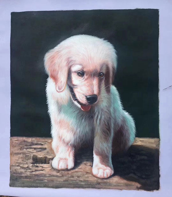 Animals for Jahrriesnge dog lpg2726 Animals Jahrriesnge for dog lpg2726